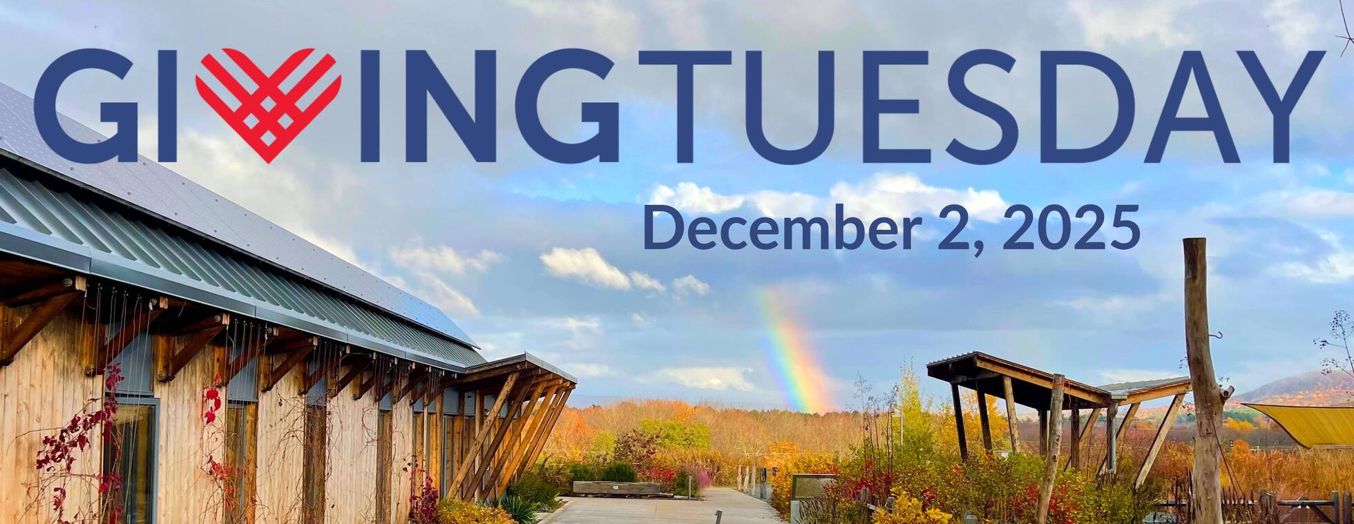 Giving Tuesday 2025